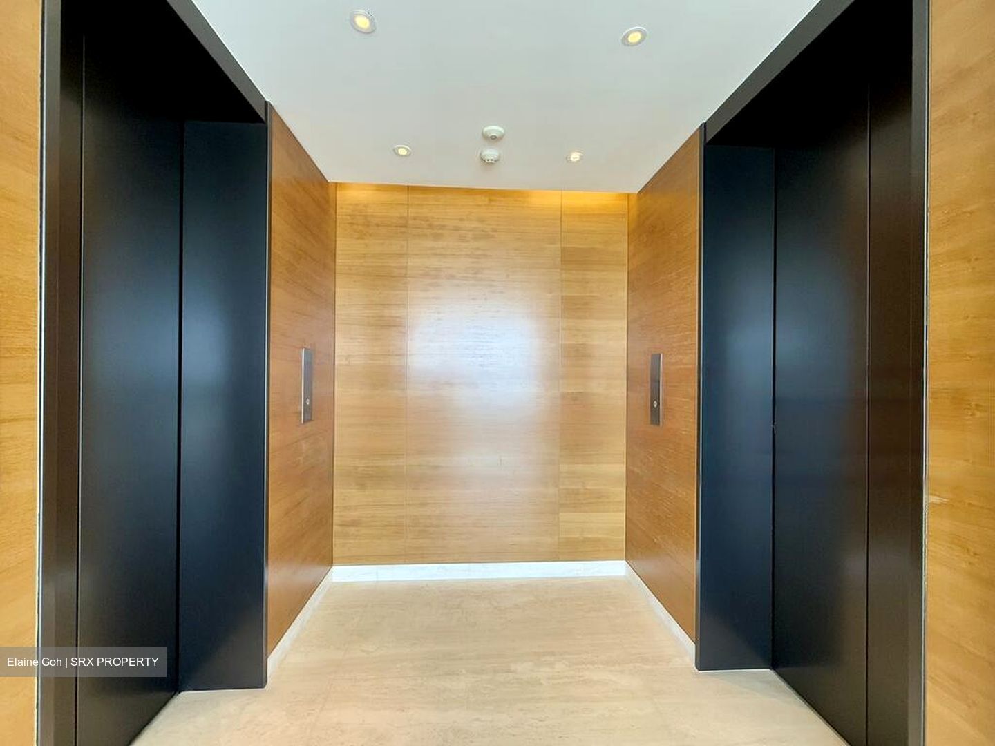 Hana (D10), Condominium #448382601